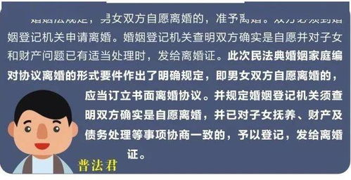 民法典婚姻家庭编亮点解读，构建和谐家庭的法律基石