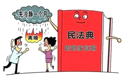 民法典婚姻家庭编亮点解读，构建和谐家庭的法律基石