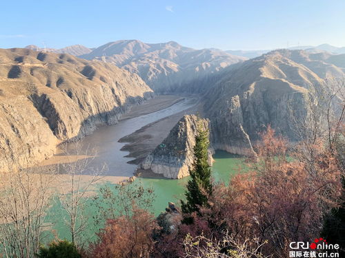 荒山承包合同，如何让荒山变金山，开启绿色财富之旅