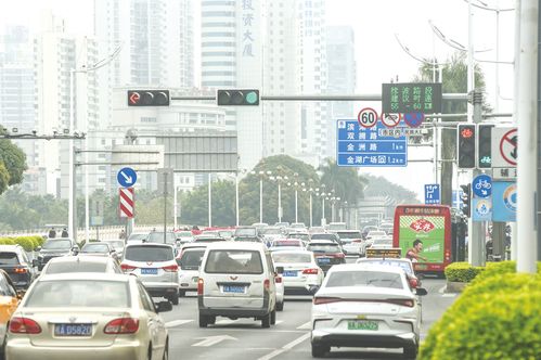 便捷高效的城市交通管理新举措