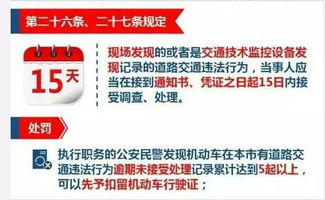 包头市车辆违章查询全攻略，轻松掌握交通法规，安全出行无忧