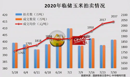 盈余公积是什么？轻松理解企业财务中的储蓄罐