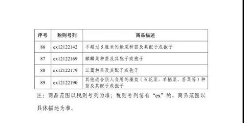 全面解析进口增值税抵扣，政策解读、操作指南与企业实操案例