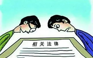 如何选择最适合你的法律伙伴