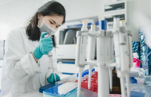 山东亲子鉴定，揭秘家庭关系的科学工具