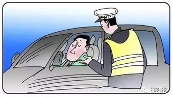 从3年29次违章看司机行为习惯的改善之道