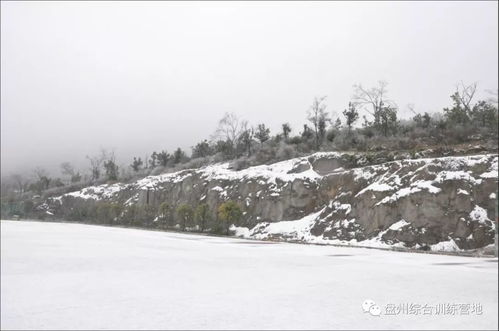 景区雪崩，一场突如其来的灾难