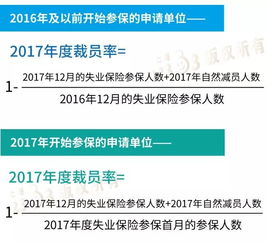 生一孩50%社保补贴，政策解析与影响探讨