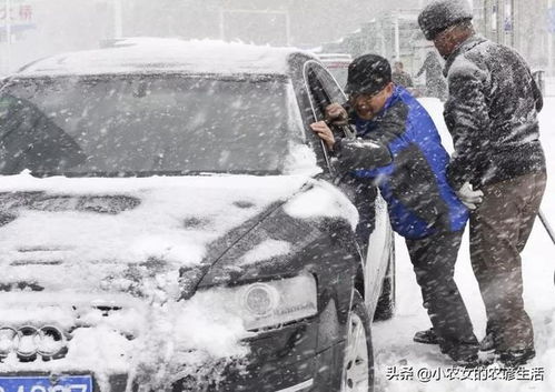 华人遇暴雪铲后抑郁，一场风雪中的心理挑战