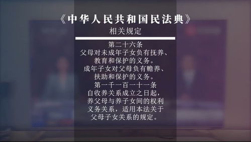 民法典2020，守护你我生活的法律宝典