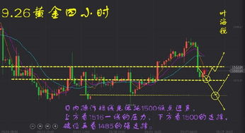 足金价一夜跌近10元，市场波动背后的原因与影响分析