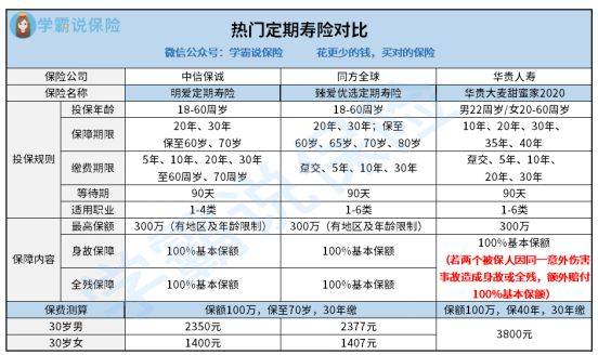 深入了解定期寿险，保障与投资的平衡艺术