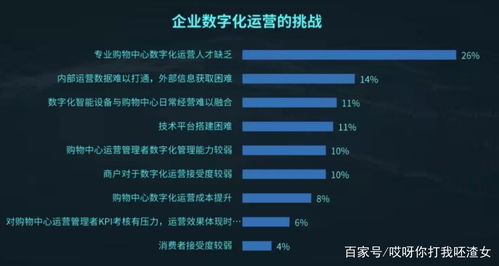 行业代码查询，解锁企业分类的钥匙