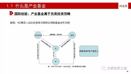 如皋二手房市场深度解析，投资与自住的黄金指南