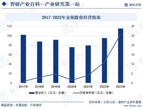 全面解析与未来发展