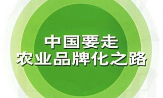 解读农业合作社法，推动农村经济发展与农民福祉的新引擎