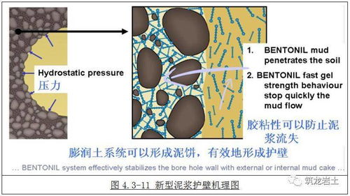 深入剖析，法律案例分析的艺术与实践