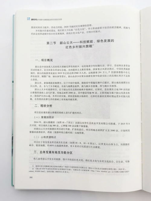 从理论到实践的深度解读