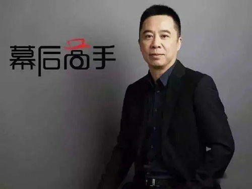 电影人宋歌被判刑，艺术与法律的碰撞