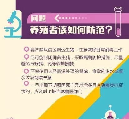 广西疫情最新情况，全面了解与应对策略