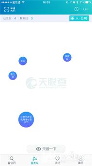 深入了解企业信息，天眼查的实用指南