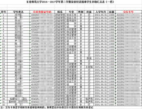 二代身份证照片，数字化时代的身份证明与隐私保护