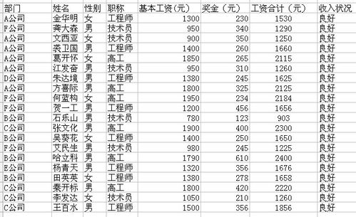 解码工资单，格式的艺术与科学