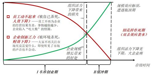 嘉兴暑假工，青春的汗水与成长