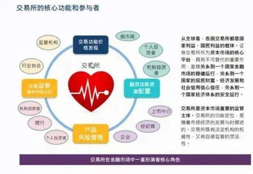 中国资本运作，理解经济的心脏跳动