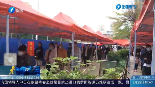 葫芦岛绥中疫情，共同守护健康家园