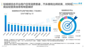 深入探索，中国公安信息网的职能、发展与未来趋势