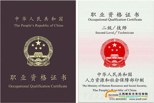 从业资格证查询，如何轻松验证你的职业资格