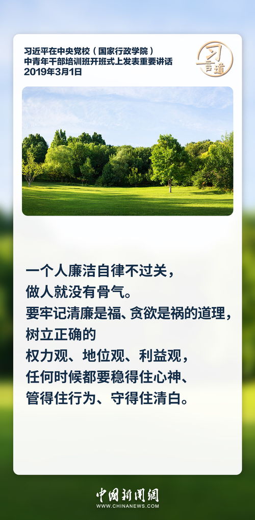 廉洁从政承诺，守护公正与信任的基石