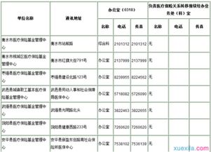 衡阳市社会保险查询指南，轻松掌握个人社保信息