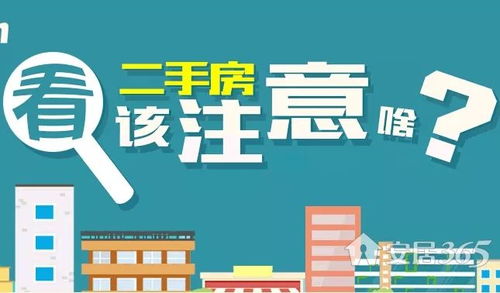 买保险的注意事项，保障未来的智慧之选