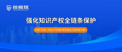 知识产权的力量，中国国家知识产权网如何推动创新与保护