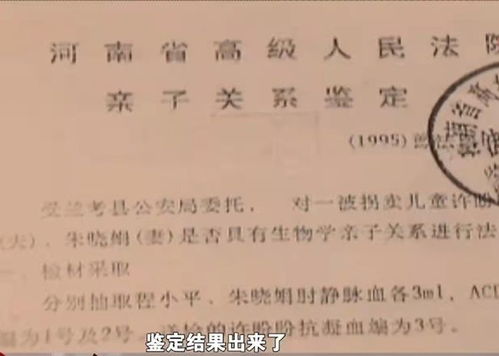 亲子鉴定怎么做？全面解析与实用指南