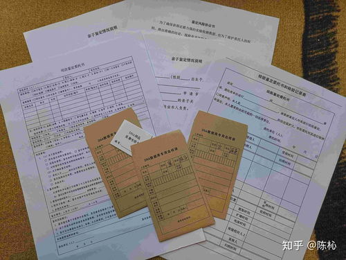亲子鉴定怎么做？全面解析与实用指南