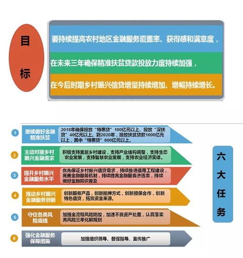 农村信用社个人贷款，助力乡村振兴的金融力量