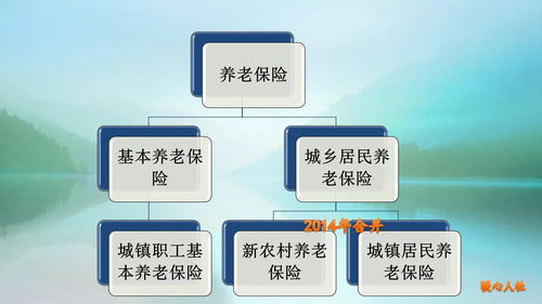 个人如何自主缴纳养老保险，全面指南与实用建议