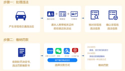 广西交通违章查询网，便捷查询与违章处理指南