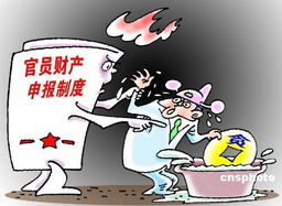 透明之光，官员财产申报制度的全球实践与挑战