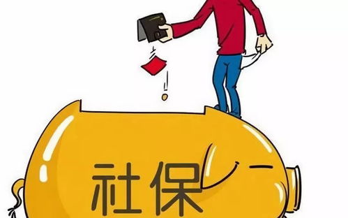 掌握未来，个人养老金缴费查询的指南与重要性