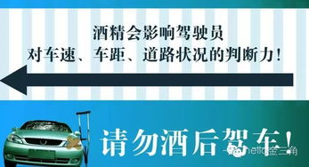 酒驾的代价，法律、道德与生命的三重审视