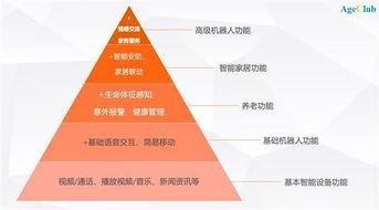 养老保险停交，应对策略与未来规划