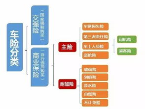 全面解读，车险种类及其重要性