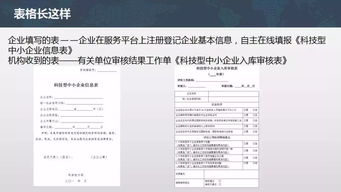 科技型中小企业申报指南，政策解读与申报流程详解