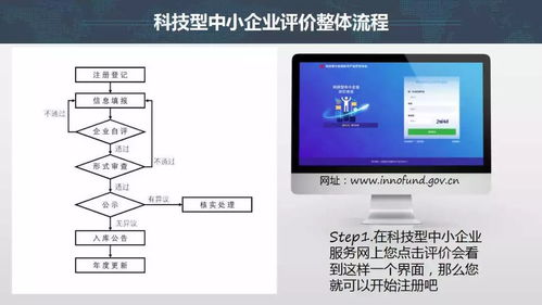 科技型中小企业申报指南，政策解读与申报流程详解