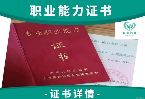 民教网证书查询，全面了解与实用指南