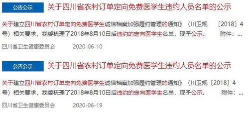 深入了解民航黑名单，影响、原因及应对策略